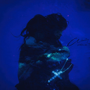 亚州性爱小视频
