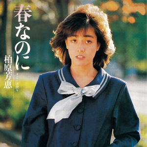 亚州性爱小视频
